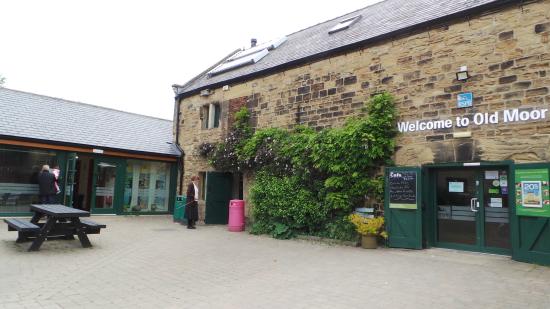 rspb old moor