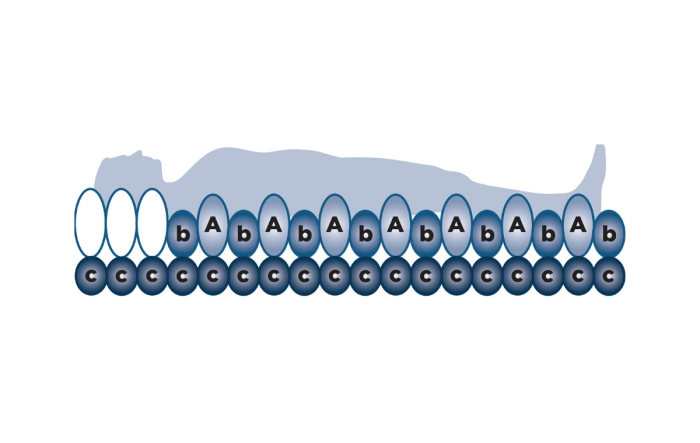 Alerta Bariatric 2 Replacement System - Image 3